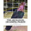 The Archangel or Gimpel Pigeon: Pigeon Breeds Book 8 - Paperback