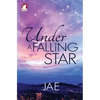 Under a Falling Star - Paperback