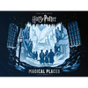 Harry Potter: Magical Places: A Paper Scene Book - Hardcover
