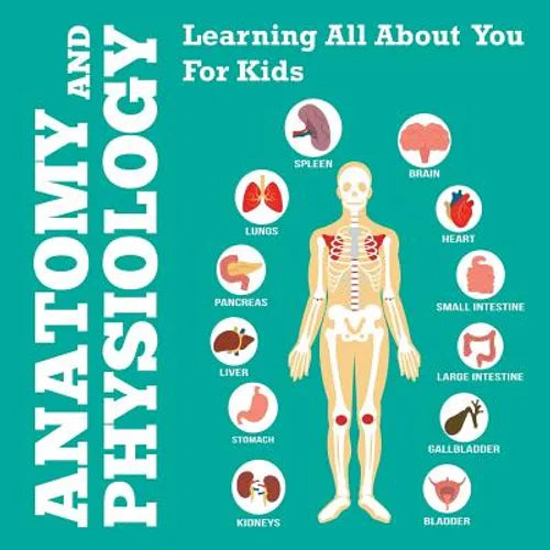 Anatomy And Physiology: Learning All About You For Kids - Paperback