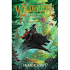 The Accidental Apprentice - Paperback