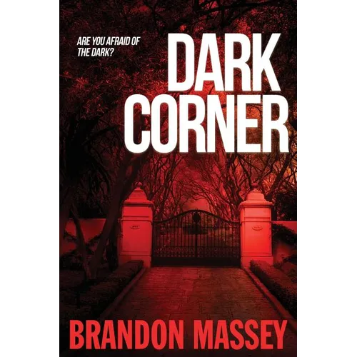 Dark Corner - Paperback