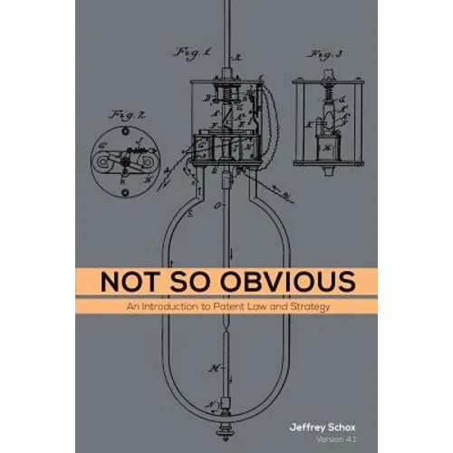 Not So Obvious: An Introduction to Patent Law and Strategy - Paperback
