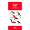 Maryland & DC Birds: A Folding Pocket Guide to Familiar Species