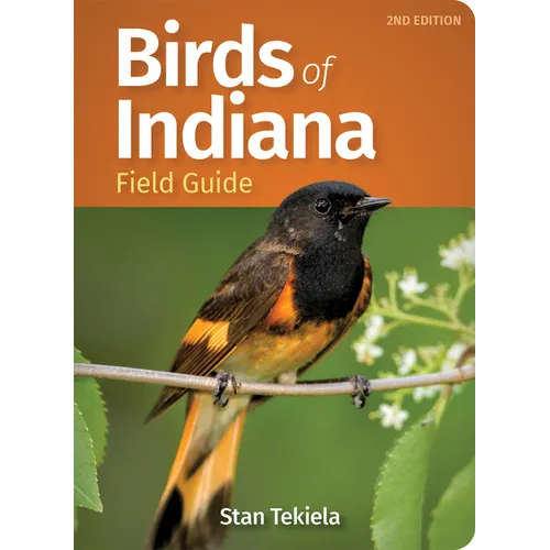 Birds of Indiana Field Guide - Paperback