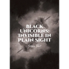 Black Unicorns: Invisible in Plain Sight - Paperback
