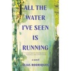 All the Water I've Seen Is Running - Paperback