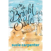 On the Bright Side: A Mother's Story of Love and Healing through Her Daughter's Autism - Paperback