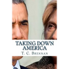 Taking Down America: the Destructive Policies of Barack Obama and Hillary Clinton - Paperback
