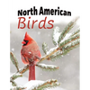 North American Birds - Paperback