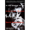 In the Shadow of the American Dream: The Diaries of David Wojnarowicz - Paperback