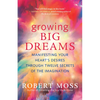 Growing Big Dreams: Manifesting Your Heart's Desires Through Twelve Secrets of the Imagination - Paperback