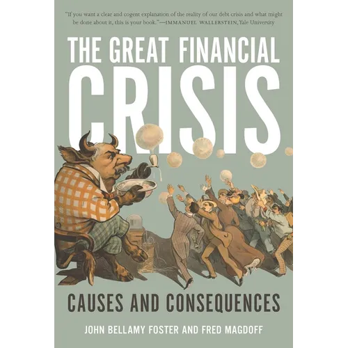 The Great Financial Crisis: Causes and Consequences - Paperback