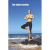 The chakra system: The energy vortexes within - Paperback