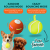 DOG’S INTERACTIVE BALL