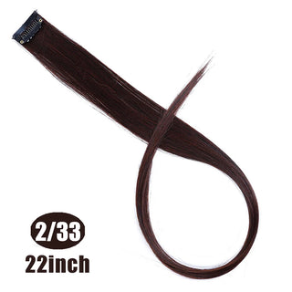 Buy 2i33 22 Inch Synthetic Colored Highlight Hair Extensions