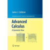 Advanced Calculus: A Geometric View - Paperback
