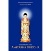Thinking of Amit Bha Buddha - Paperback