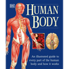The Human Body: An Illustrated Guide to Every Part of the Human Body and How It Works - Paperback