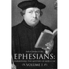 Ephesians: Unraveling the Mystery of God 1:1-14 Volume 1 - Paperback