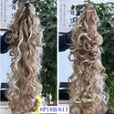 Claw Clip Ponytail Extensions