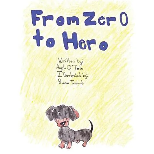 From Zero to Hero - Paperback