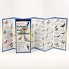 Sibley's Back. Birds of Mid-Atlantic