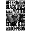 After Black Lives Matter: Policing and Anti-Capitalist Struggle - Paperback