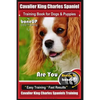 Cavalier King Charles Spaniel Training Book for Dogs & Puppies By BoneUP DOG Training: Are You Ready to Bone Up? Easy Training * Fast Results Cavalier - Paperback