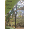 Beyond Killough Creek - Paperback