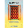 Seventeen: extraordinary journeys of ordinary young Indians - Paperback