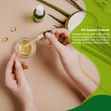 Essential Oils for Humidifier Aroma