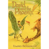 David and the Phoenix - Paperback