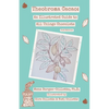 Theobroma cacao: An Illustrated Guide to All Things Chocolate - Paperback