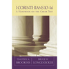 1 Corinthians 10-16: A Handbook on the Greek Text - Paperback
