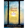 Little Pieces of Light: Darkness and Personal Growth - Paperback
