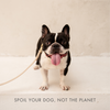 Collar - Air Tag Enabled - Vegan Leather - Cupertino