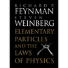 Elementary Particles and the Laws of Physics - Paperback