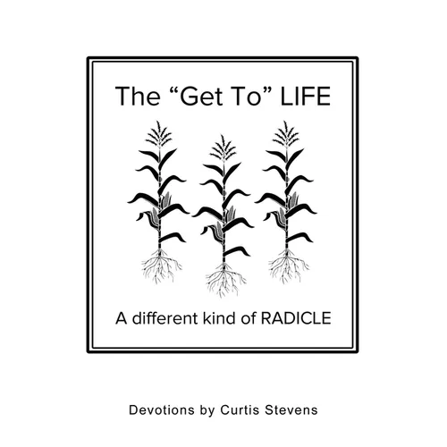 The "Get to" Life: A different kind of RADICLE - Paperback