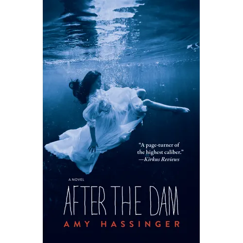 After the Dam - Paperback