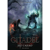 Citadel - Hardcover