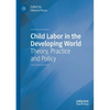Child Labor in the Developing World: Theory, Practice and Policy - Paperback
