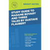 Study Guide to Madame Bovary and Three Tales by Gustave Flaubert - Paperback