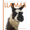 Llamas - Paperback