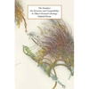 The Interfact: On Structure and Compatibility in Object-Oriented Ontology - Paperback