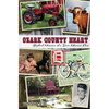 Ozark County Heart: Boyhood Memories of a Dora Missouri Farm - Paperback