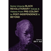 Some Unsung Black Revolutionary Voices and Visions from Pre-Colony to Post-Independence and Beyond - Paperback