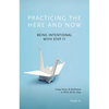 Practicing the Here and Now: Being Intentional with Step 11, Using Prayer & Meditation to Work All the Steps - Paperback