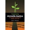 Transforming Juvenile Justice: Reform Ideals and Institutional Realities, 1825-1920 - Paperback