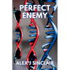 Perfect Enemy - Paperback